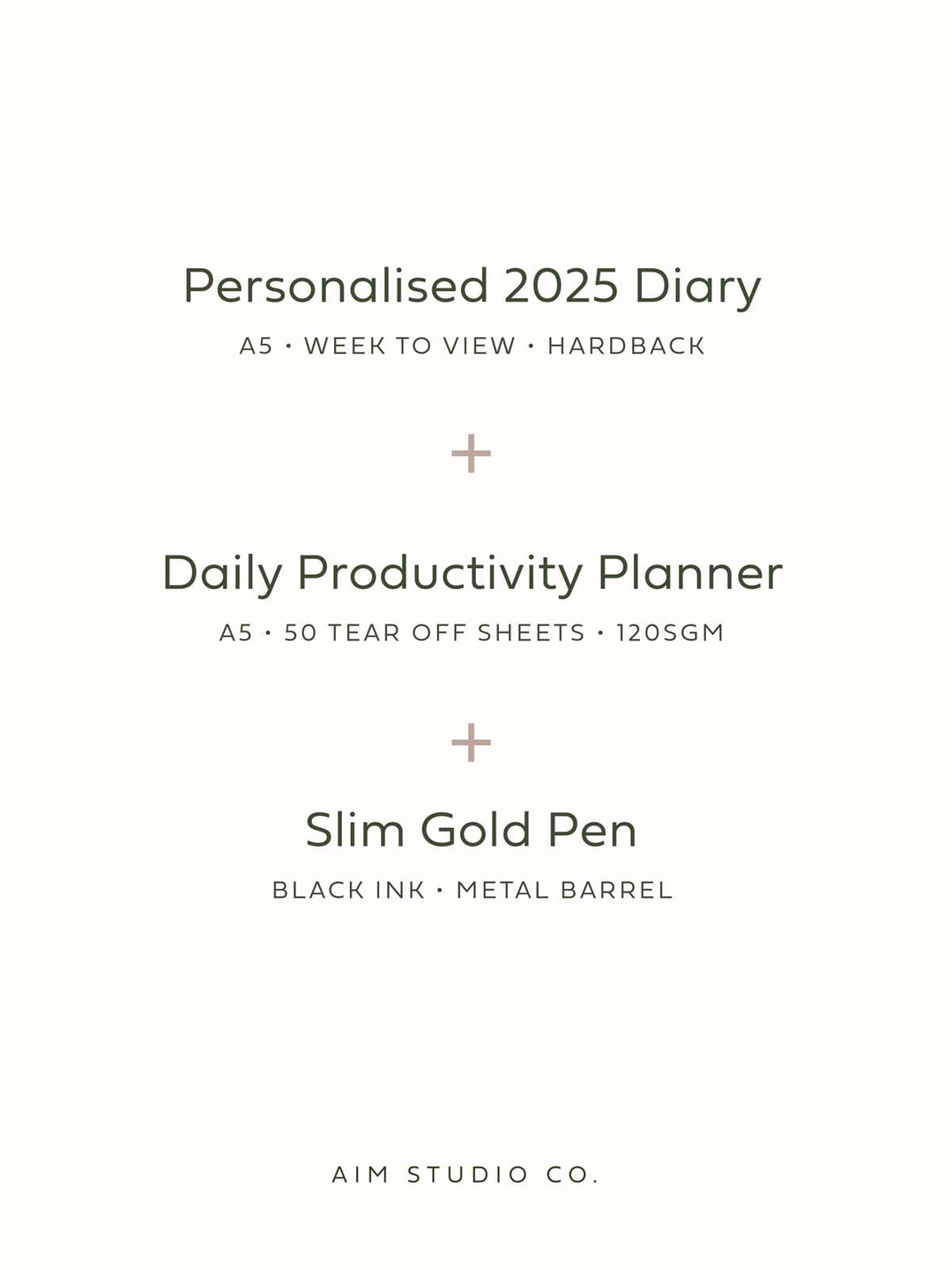 Ring-bound 2025 Diary, Daily Planner & Pen Bundle