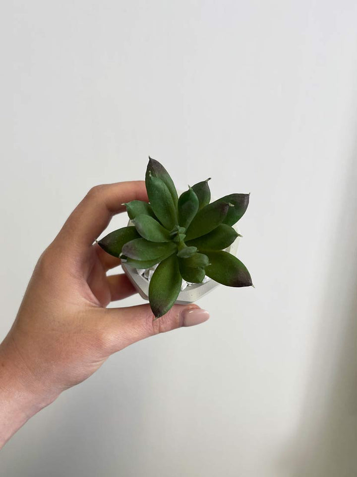 CLEARANCE | Handmade Mini Artificial Desk Plants