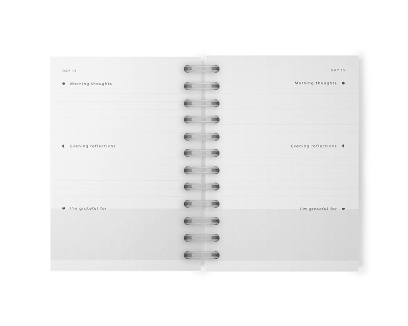 Year of Gratitude Journal - Stationery & Office Desk Accessories | AIM Studio Co